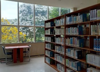 Photo by Edwin Petrus on Unsplash