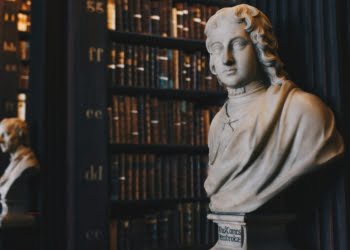 The Future of Lawyer