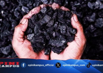 Potensi Asam Humat dari Batu Bara Riau oleh Tim Peneliti Universitas Gadjah Mada